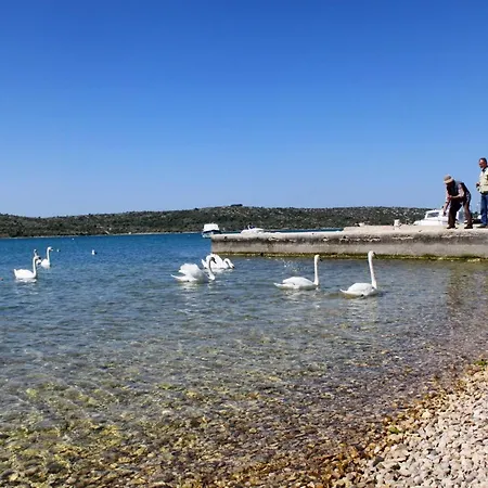 Apartamento With Parking Space Pirovac, Sibenik - 20015 Pirovac