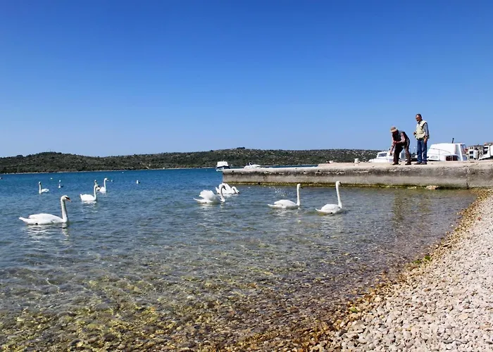 Apartmán With Parking Space Pirovac, Sibenik - 20015 Pirovac